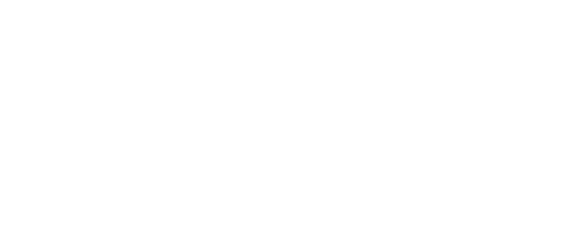Typ 	    Info			     							Preis  TC-B10 	1175KG, Breite 0,71 - 1,1 M Joystick Steuerung	 	  75 